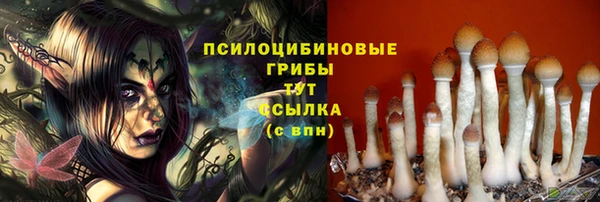 mdpv Карталы
