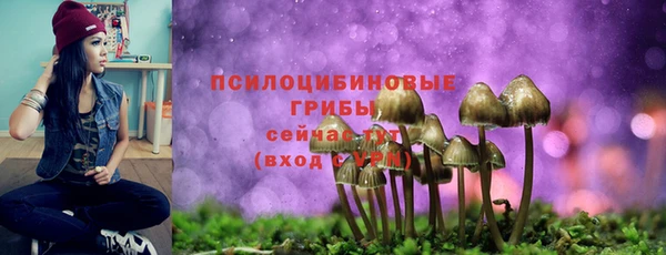 mdpv Карталы